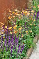 Planting with Geum Totally Tangerine, Salvia Caradonna and ornamental grasses