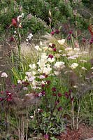Perennial border in pink, white and red color tones