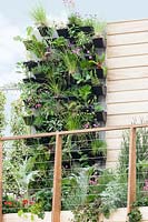 Living wall with herbs and vegetable plants