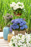 Plant container in blue and white color tones