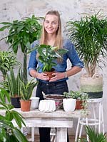 Indoor plant mix with young woman