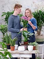 Indoor plant mix with young woman and young man