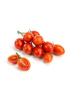 Solanum Tutti Frutti