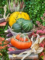 Fall impression with pumpkins