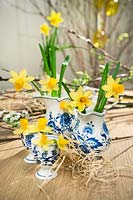 Decoration with Narcissus Tete-a-Tete