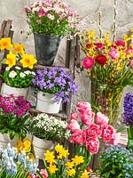 Mix with spring blossoms and flower bulbs