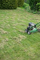 Scarifying the lawn