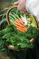Trug basket full of micro vegetables including carrots, leeks, chicory and swedes