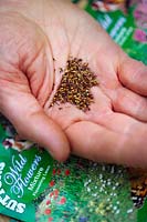 Male hand holding wildflower seed mix in outstretched palm