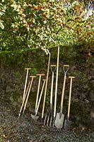 Line up of De Wit garden tools against a stone wall