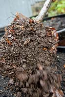 Shoveling leaf mould compost into a container