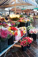 Flower stalls, wet, rain, flower market, Marche aux Fleurs, the old city, Nice, France