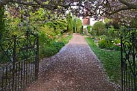 Entrance drive and gates to a suburban spring garden with tulip borders on either side, gravel drive and cherry blossom