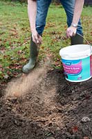 Step four of planting Malus 'Harry Baker' (Crab apple). Spreading blood fish and bone meal onto soil to develop stronger roots