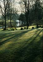 View to river through woods over lawn with narcissus
