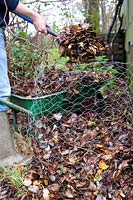 Filling a wire mesh composting cage with collected leaves in autumn