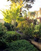 Rear garden with shady planting Dale Loth Camden London