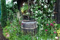 Wildflower meadow with climbing white rose & rustic water butt