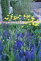 Perennial beds with mass of colour  The Savills Garden Design by Marcus Barnett Philip Nixon RHS Chelsea Flower Show 2007