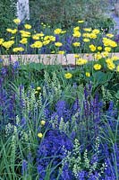 Perennial beds with mass of colour  The Savills Garden Design by Marcus Barnett Philip Nixon RHS Chelsea Flower Show 2007
