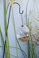 Hanging glass bird feeder in front of blue painted wall with Equisetum hyemale & Cyperus papyrus