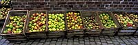 Crates of different apple varieties Castle Hex autumn Festival