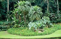 Bed with Palms foliage Garden Design by Roberto Burle Marx Brazil