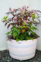 Half barrel planter with perennial foliage