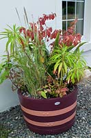 Half barrel planter painted with autumn foliage plants
