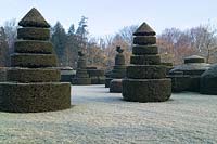 Taxus baccata (yew) topiary with frost Topiary Garden, Longwood Gardens, Kennet Square, PA, USA