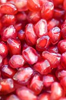 Close up of Pomegranate (Punica granatum) pink red coloured ripe edible seeds