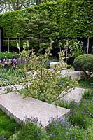 The Daily Telegraph Garden. Gold Medal & Best in Show, RHS Chelsea Flower Show 2009.