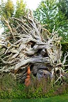 Large tree stump with twisted roots