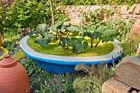 Welcome to Yorkshire's Rhubarb Crumble & Custard Garden designed by Gillespies LLP