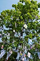 RHS Chelsea Flower Show 2010 Eden Project  Places of Change garden by Paul Stone. Tree hung with labels & messages
