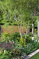 The Daily Telegraph Garden by Cleve West