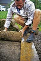 Gardener repairing a lawn with new turf using a wooden plank to protect the grass