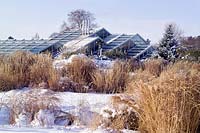 The Grass Garden with the Princess of Wales Conservatory in background. RBG Kew in winter
