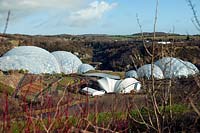 The Eden Project biomes