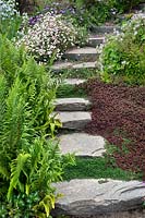 Stone steps in garden with Erigeron karvanskianus, Osteospermum sp and Erodium pelargoniflorum