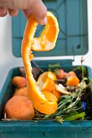 Compost bin with orange peel and grapefruit skins