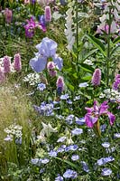 Perennial garden in pink/white/blue color tones