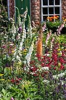 Colorful perennial garden