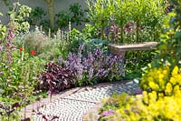 Perennial garden with medicinal plants