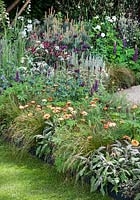 Perennial garden with Calendula