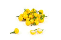 Capsicum Gelbe Kirschen