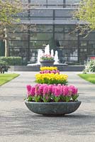 Planters with flower bulbs