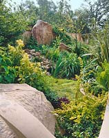 Garden scene with ornamental shrubs