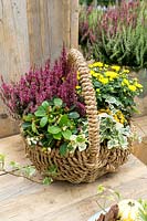 Basket with fall plants