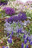 Plant border with annuals and perennials